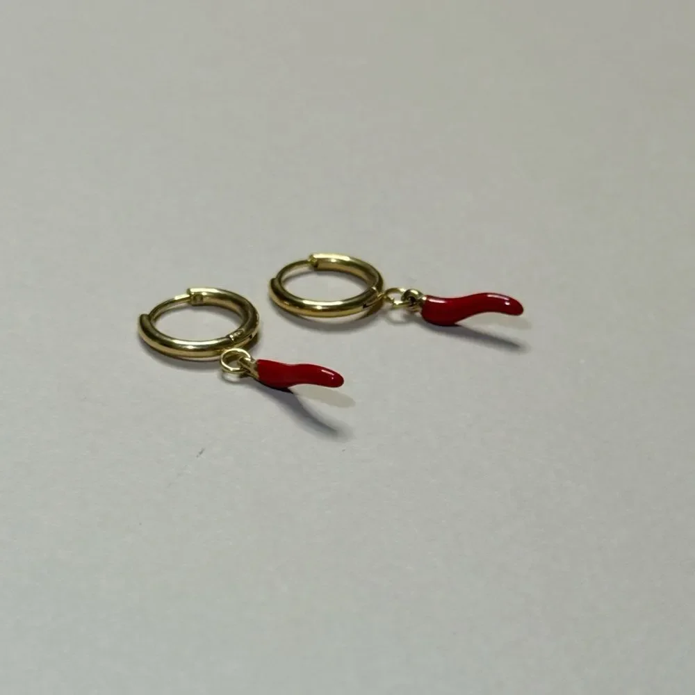 Pepper hoop Earrings N1715